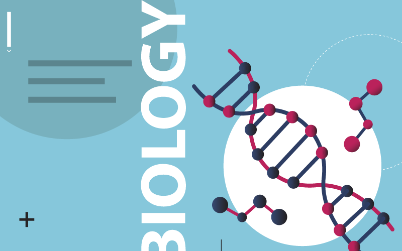 Discovering your path in biological sciences can be tricky. Here was my path I took in High school that set me up for college and my career!