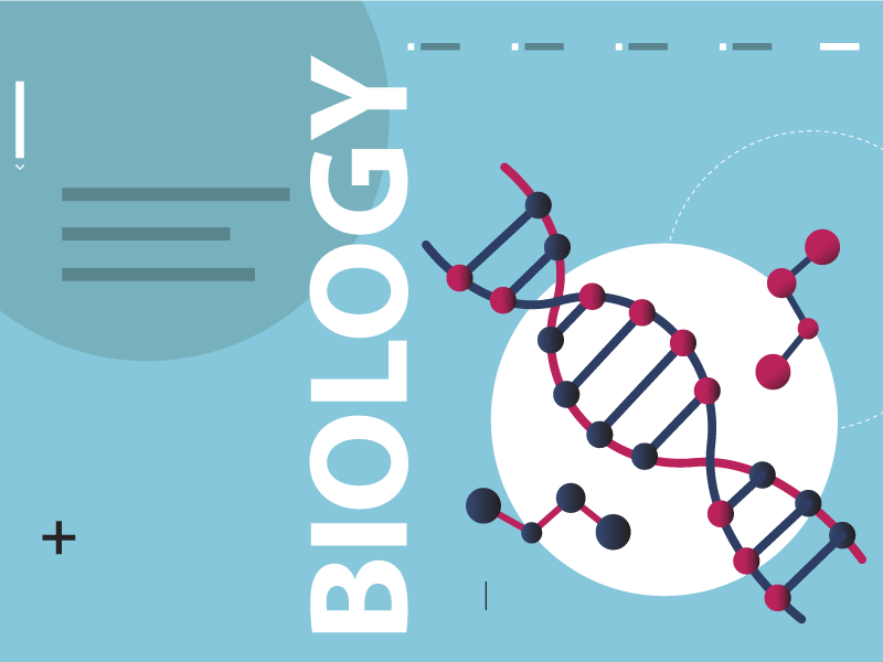 Discovering your path in biological sciences can be tricky. Here was my path I took in High school that set me up for college and my career!